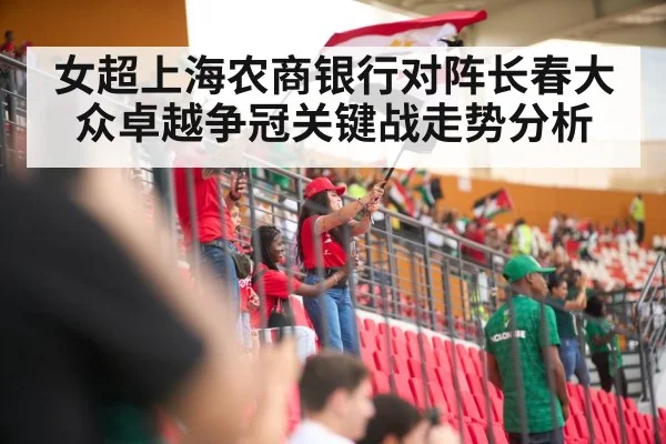 soccer stadium crowd